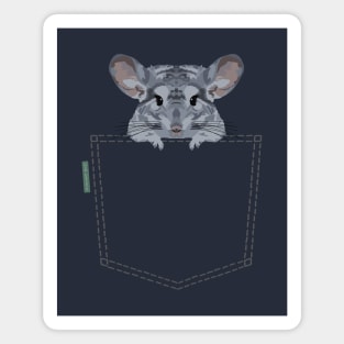 Pocket Chinchilla Magnet